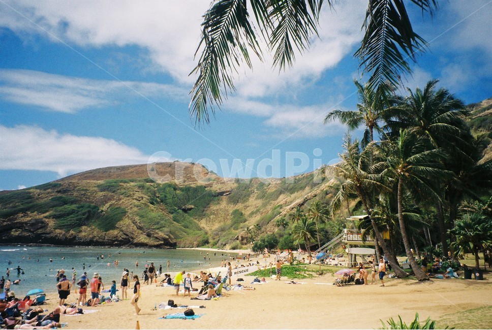 하나우마베이,하와이,하와이바다,바다,바다풍경,hawaii,beach