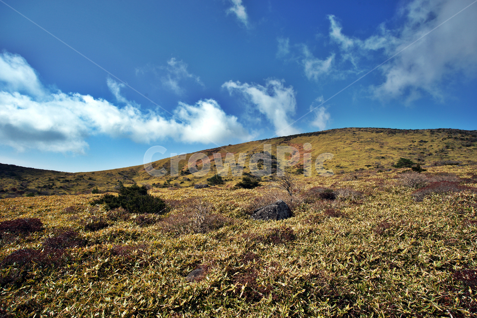 오름,남벽,한라산,제주도,한라산국립공원,돈내코코스,조릿대,관목,푸른하늘,구름,암벽,제주도,jeju,jeju island,nature,자연,outdoors,옥외