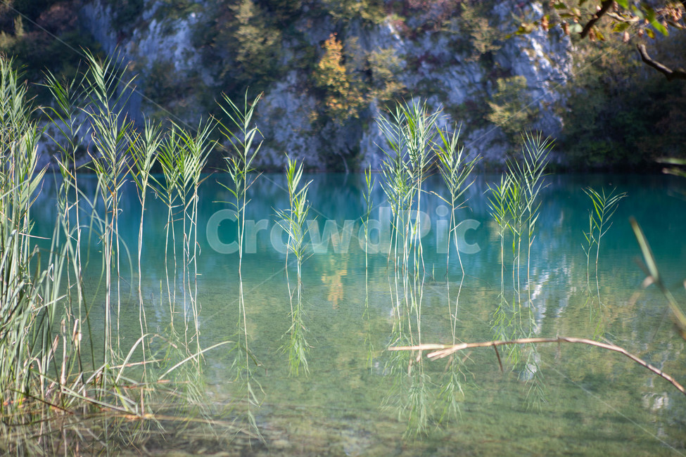 light,크로아티아,호수,lake,세계자연경관,flare,플레어,숲,자연,경관,경치,배경,풍경,흙,땅,빛,햇빛,긍정,평온,평화,밝은,sunny,weather,forest,leaf,tree,삼림지,woodland,outdoors,옥외,sunlight,grove,작은숲,나무,나라,land,초목,vegetation,식물,plant,자연,풍경,nature,landscape,해외,외국,세계,foreign,oversea,world,세계자연풍경,해외자연풍경,외국자연풍경,world nature landscape