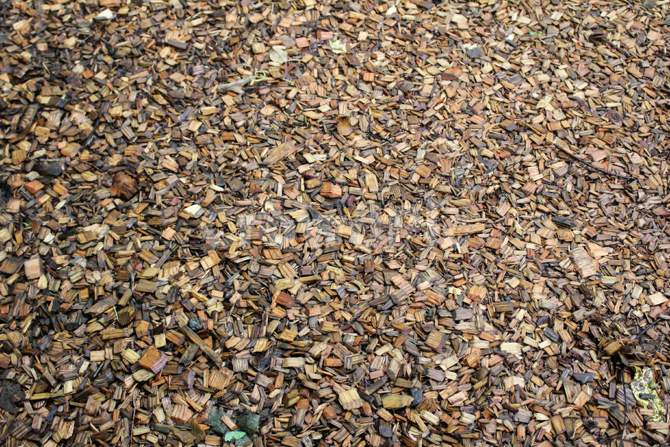 나무,우드,배경화면,background,따뜻한,나무조각,일본,피톤치드,나무바닥,wood,자연,나무,trees,wood