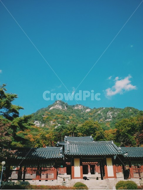 용문사,춘천,가을,풍경,산,한국전통,한국문화,korean traditional,korean culture,건축물,건물외관,exterior,building,structure,architecture,construction