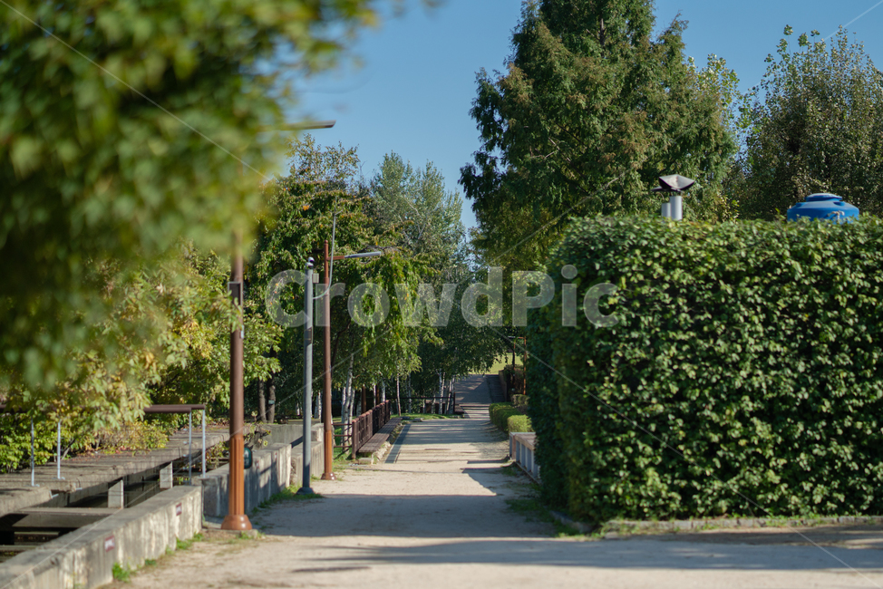 garden,정원,outdoors,옥외,arbour,정자,자연,풍경,nature,landscape