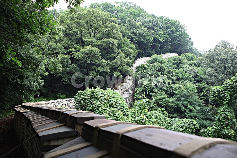 남한산성,성,성곽,길,둘레길,벽,숲,숲길,담,돌담,여름,풍경