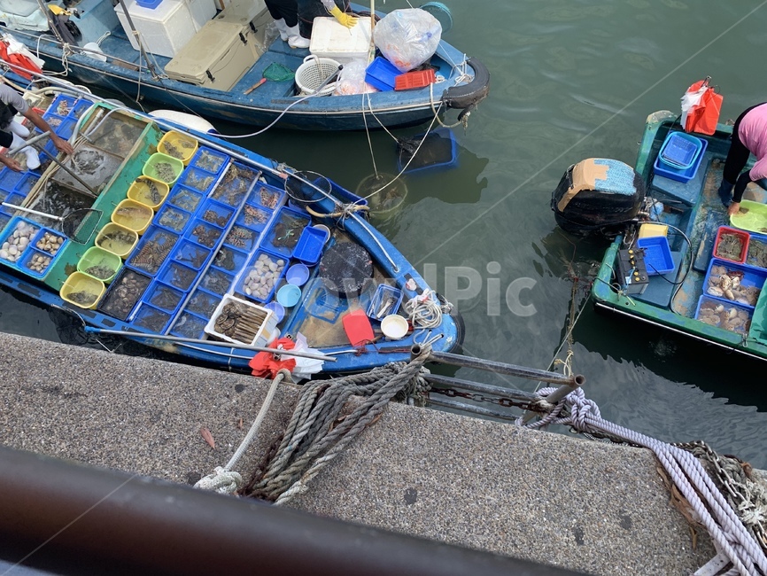 바다,홍콩,시장,어시장,어부,배,물고기,어류,sea,hongkong,market,fishmarket,fisherman,ship,fish,선박,물,water