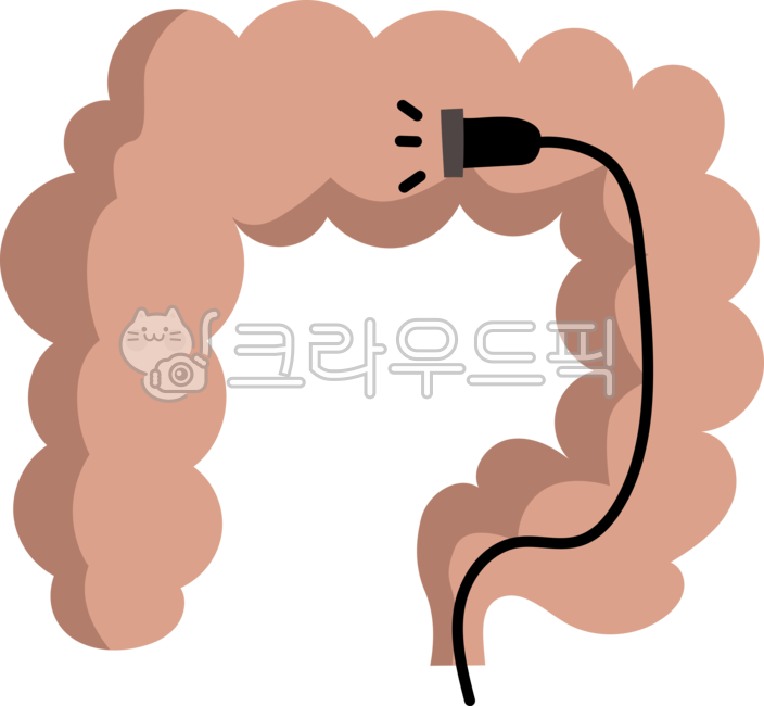 대장내시경,대장,장,내시경,건강검진,검진,대장검진,colon