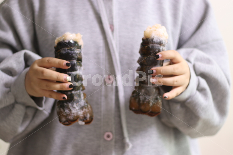 랍스타,해산물,랍스터,바닷가재,바다가재,로브스터,찜요리,요리,음식,해물,음식,식재료,요리,food,cook,meal,dishes,food reserves