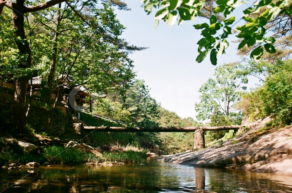 만휴정,안동만휴정,계곡,한옥,피서지,필름사진,자연,풍경,nature,landscape,한국전통,한국문화,korean traditional,korean culture,감성,sensible,feeling,water,물,outdoors,옥외,vegetation,초목,plant,식물