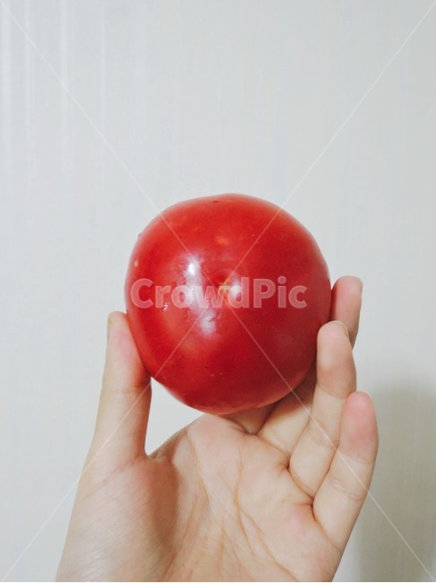 토마토,무농약,유기농,빨간열매,과일,열매,레드푸드,여름과일