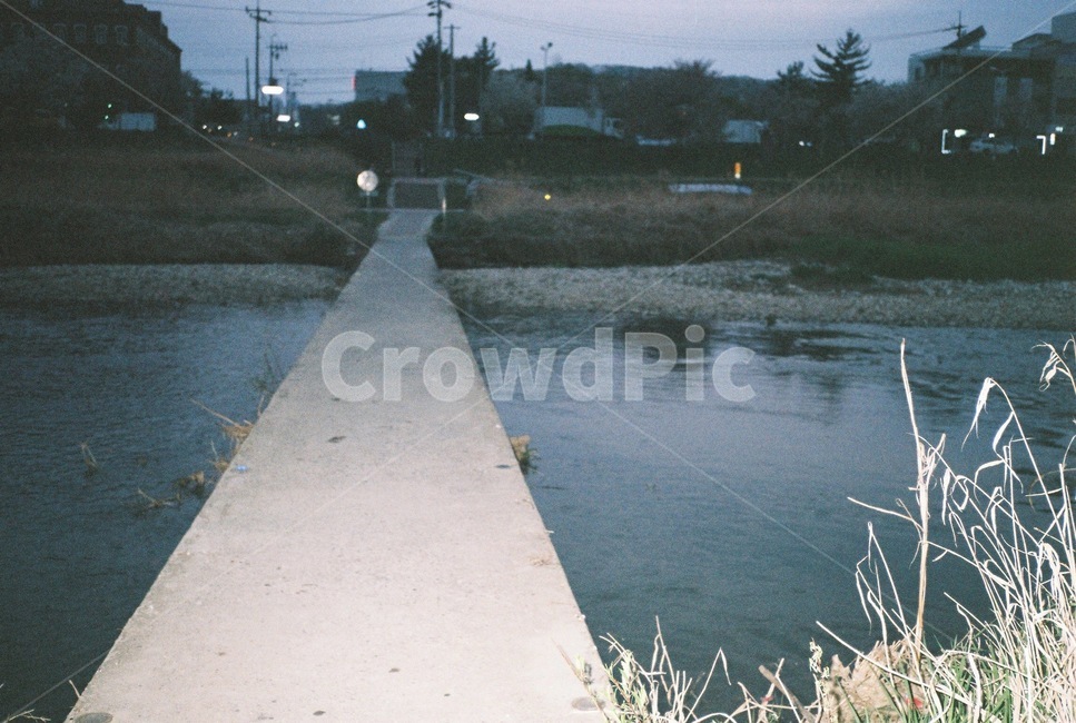 필름카메라,냇가,천,벚꽃,평화,다리