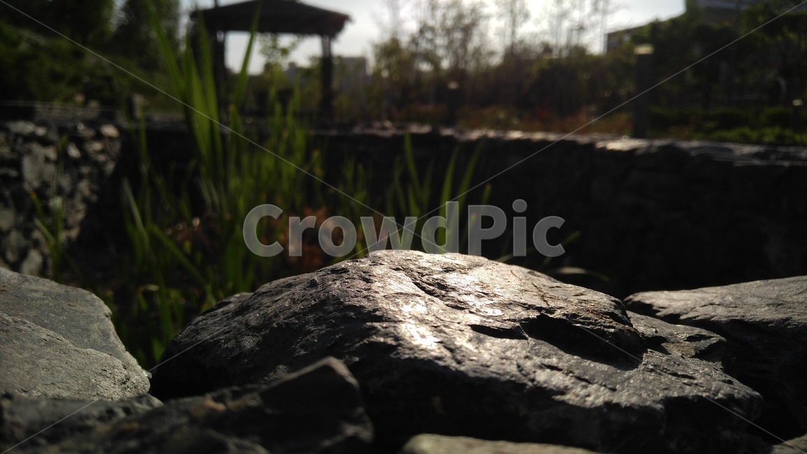 연못,돌,수초,배경,감성,pond,plant,stone,background,emotional,nature