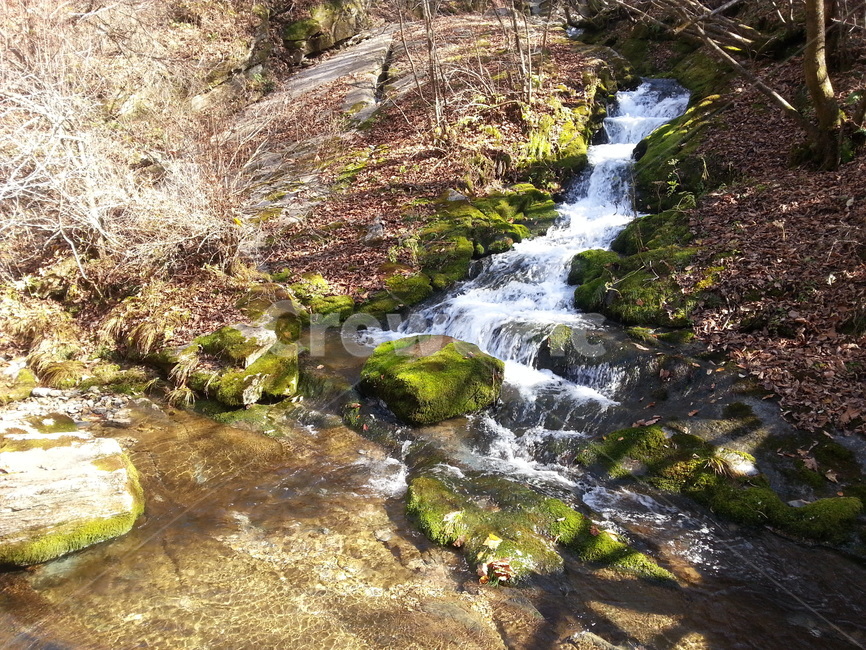 물,자연,흐름,water,nature,outdoors,stream,flow