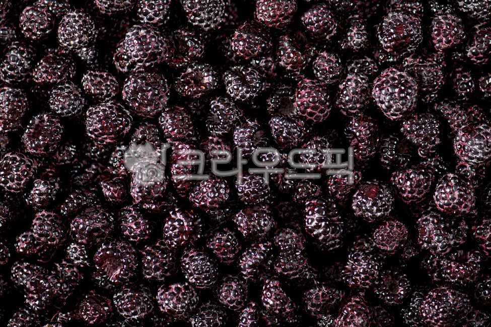 복분자,과일,딸기류,식재료,신선한,그룹,모음,여러개,바탕,배경,백그라운드,검정,붉은,검은,디저트,후식,다이어트,음식,식료품,프레쉬,푸드,매크로,유기농,라즈베리,빨강,스위트,텍스쳐,질감,채식,여름,여름과일,열매,생과일,웰빙