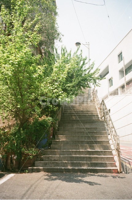 계단,나무,풍경,자연,감성사진,색감