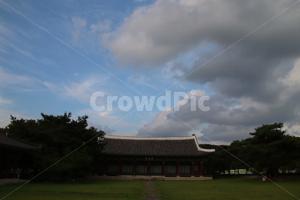 plant,식물,grass,잔디,nature,자연,weather,날씨,건물,한옥,한국전통,한국문화,korean traditional,korean culture