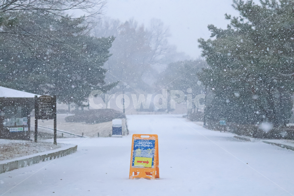 눈,공원,함박눈,겨울,감성,nature,자연,outdoors,옥외,snow,winter,blizzard,눈보라,storm,폭풍