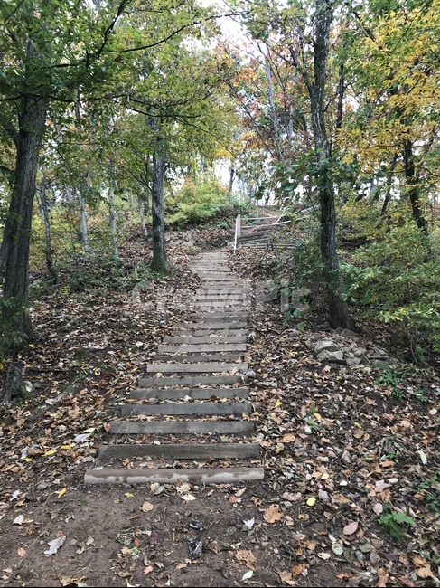 등산,나무,산길,산,등산로,자연,풍경,nature,landscape,path,통로,flagstone,판석,slate,슬레이트,ground,바닥