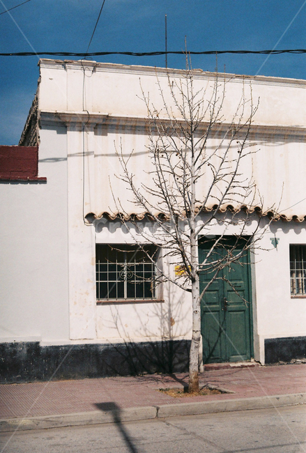 나무,문,기와,창문,tree,door,window,건물