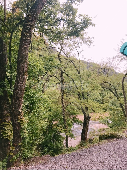 나무,산,시골,봄,농촌,자연,풍경,nature,landscape