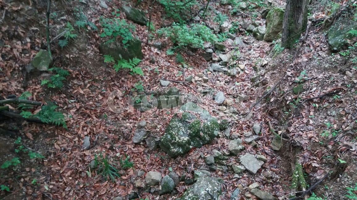 산책길,계곡,돌,이끼,가뭄,봄