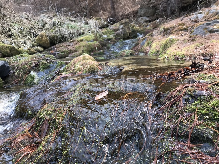 계곡,시냇물,산속,깊은산,계곡물,자연,풍경,nature,landscape,water,물,outdoors,옥외