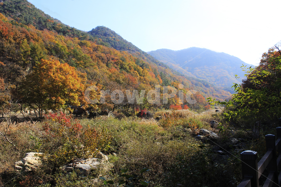 가을,단풍,풍경,산맥,산,등산,등산로,다채로운,낙엽,주황색,초록색,나무