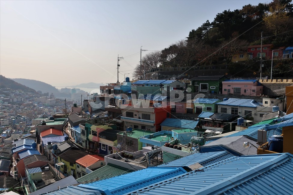 부산,감천,마을,언덕,동네,감천문화마을,골목,풍경,감성,색감,명소,관광지,필수코스,도시,풍경,city,landscape,한국도시풍경,한국도시경관,korea cityscape,경치,nature,자연,outdoors,옥외,roof,지붕,scenery