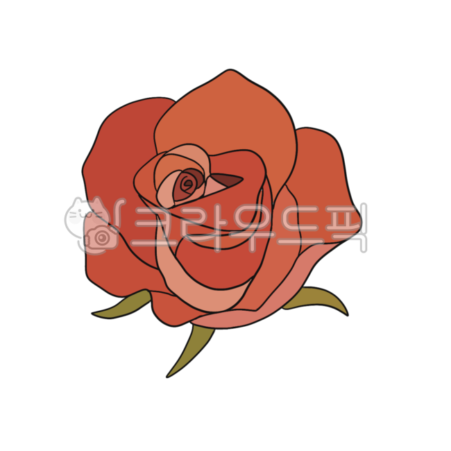 flower, 꽃, rose, 장미, drawing, 사진,이미지,일러스트,캘리그라피 - pinkpig7작가