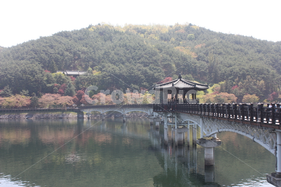 안동,월영교,안동월령교,다리,자연,가을,계절,fall,autumn,season,자연,풍경,nature,landscape,한국자연풍경,한국자연경관,korea nature landscape