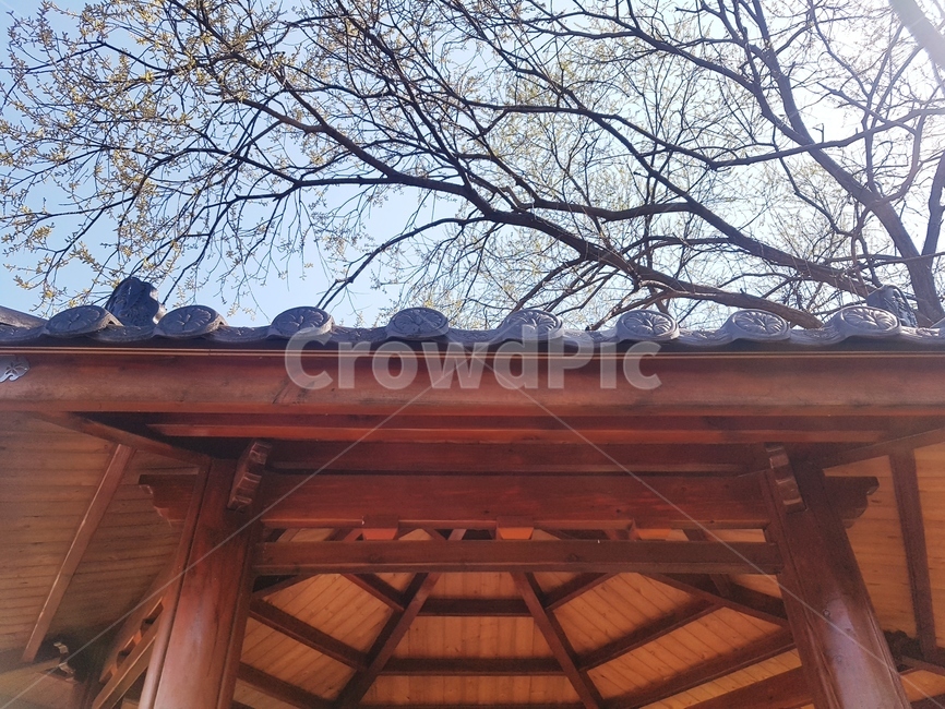 정자,육각정,쉼,의자,휴식,햇살,따뜻함,봄,바람,시원함,그늘,공원,아파트,산책로,조형물,도심속,나무,건축물,건물외관,exterior,building,structure,architecture,construction