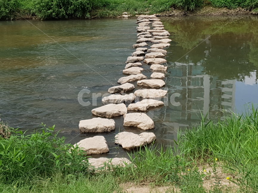 중랑천,돌다리,자연,물,다리,산책