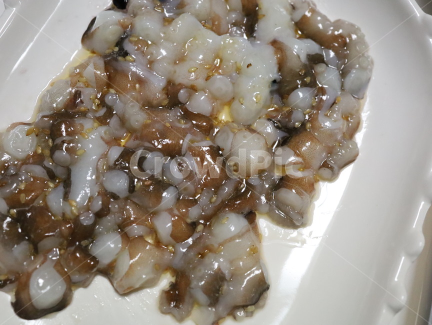 낙지,산낙지,생물,해물,해산물,dish,food,수산물,해산물,fishery products,seafood