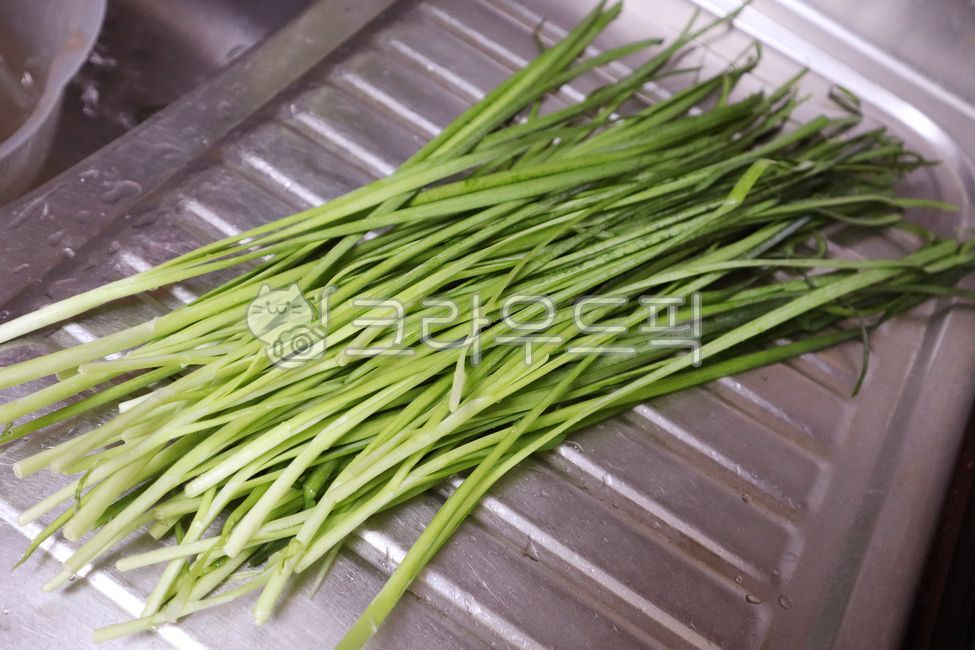 부추,부추요리,파요리,겉절이,부추겉절이,잎,요리,농업,향신료,비타민,자르다,샐러드,재료,날것의,파,채소