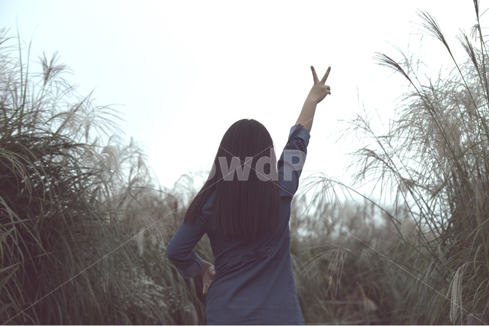 가을,외로움,쓸쓸함,찬바람,갈대,갈대밭,사람,인물,인간,human,person,여성,여자,woman,female,lady,감정표현,기분,feeling,emotion,감성,sensible