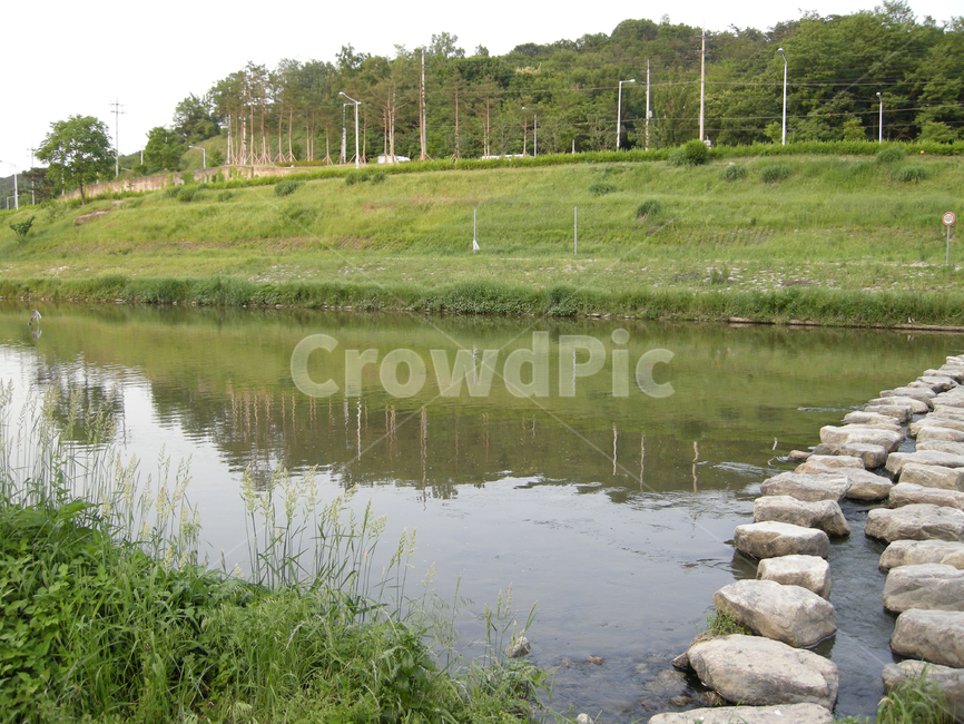 양재천,개울,냇가,징검다리,여름,자연,풍경,nature,landscape,water,물,outdoors,옥외