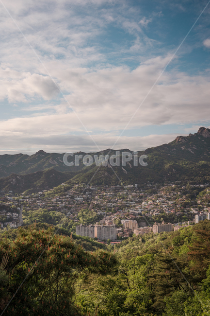 도시,전망,풍경,산,아파트,집,나무,구름,cityscape,city,mountain,apartment,tree,landscape,seoul,서울,sky,자연