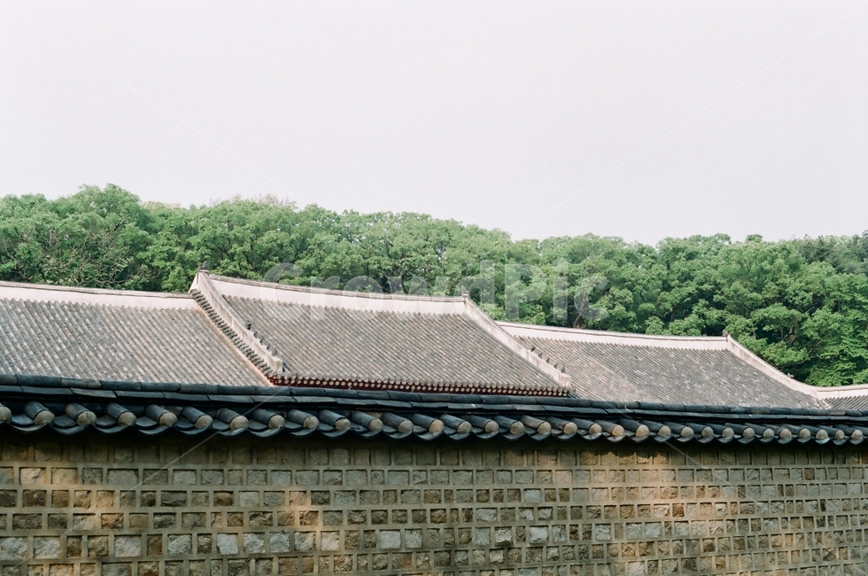 종묘,jongmyo,역사,문화재,history,culturalasset,seoul,서울,green,grey,film,한국전통,한국문화,korean traditional,korean culture,건축물,건물외관,exterior,building,structure,architecture,construction