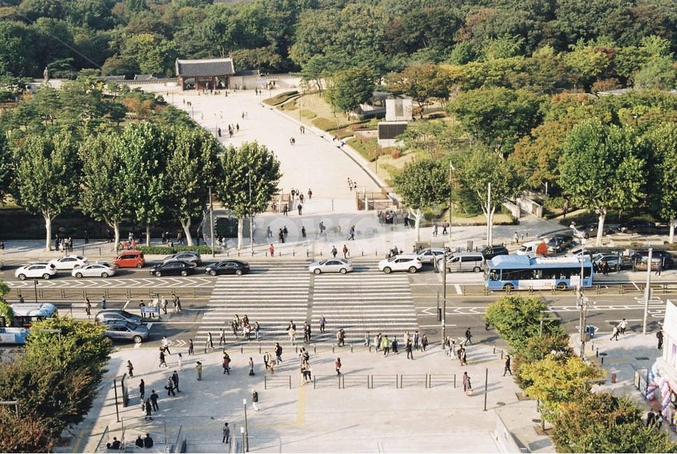 횡단보도,도로,도심,종묘,유적,신호등,유동인구,도시,풍경,city,landscape,한국도시풍경,한국도시경관,korea cityscape,교통,교통수단,traffic,transportation,경치,nature,자연,outdoors,옥외,scenery,시티,urban,어반,downtown,building,건물,town,architecture,건축물,road,intersection,교차로