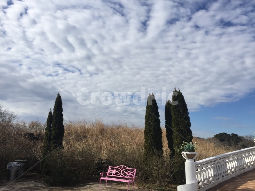 햇빛,들판,울타리,가을,맑은,자연,풍경,nature,landscape,handrail,난간,banister