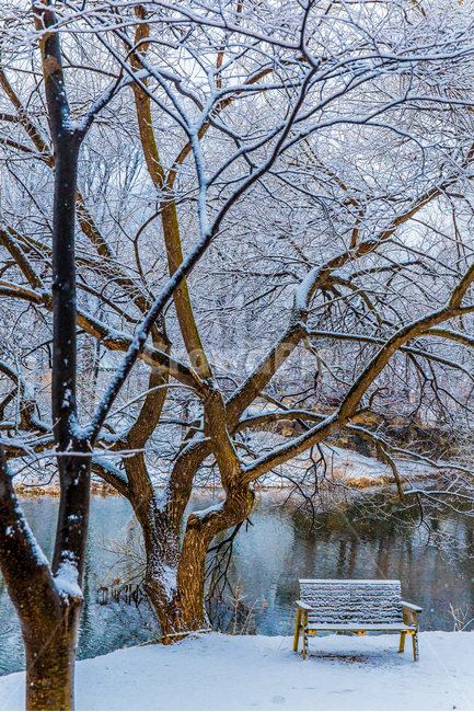 설경,호수가,벤치,풍경,반영,겨울,계절,winter,season,자연,풍경,nature,landscape,식물,plants,나무,trees,wood,outdoors,옥외