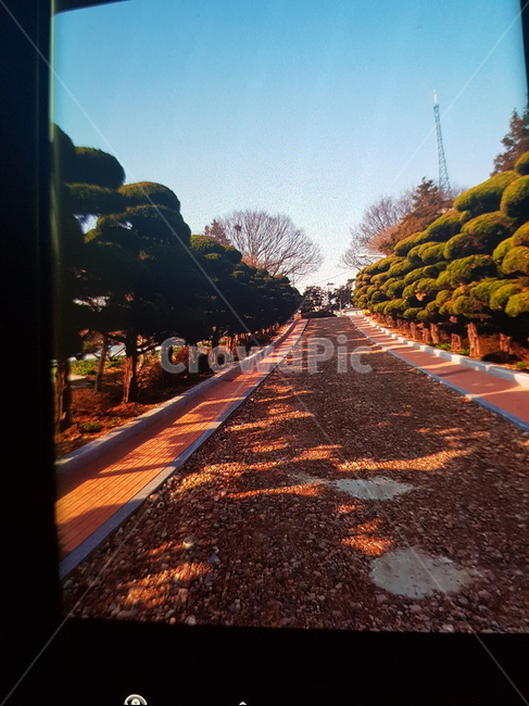 road,도로,나무,숲,나들이,산,시골,풍경