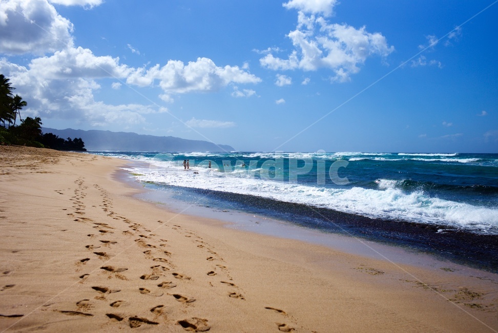 바다,모래사장,해안,beach,파도,해변,바다,beach,sea