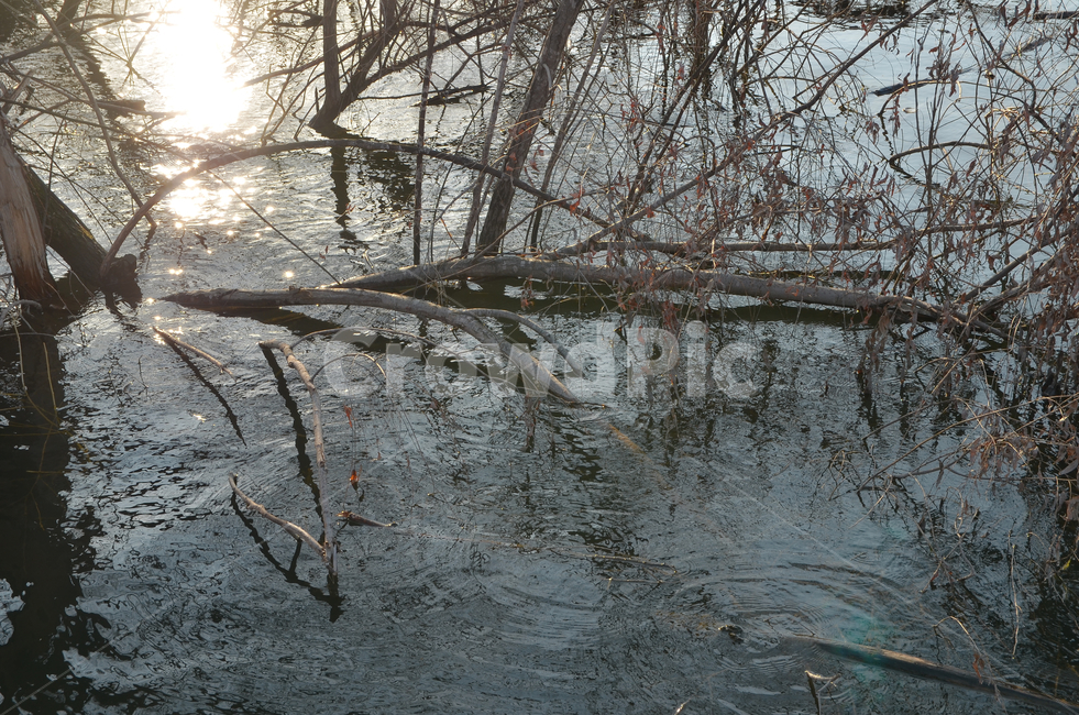 호수,빛,물빛,나무,감성,노을,풍경,반영,reflection,water,tree,lake,light,자연,풍경,nature,landscape,outdoors,옥외,land,땅