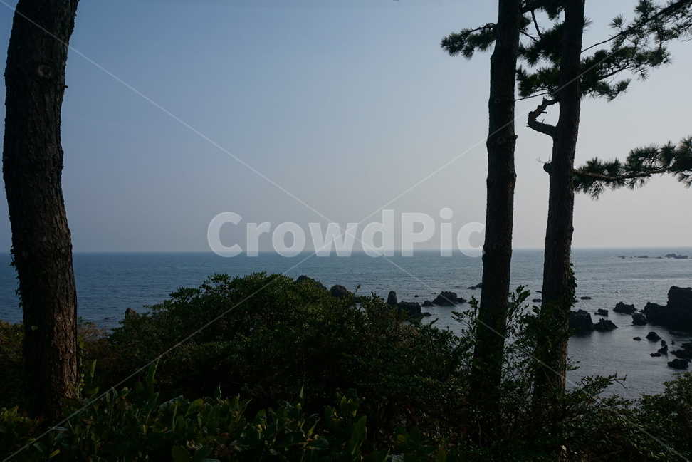 바다,oceanview,자연,natural,blue,하늘색,파란색,자연,풍경,nature,landscape,식물,plants,나무,trees,wood