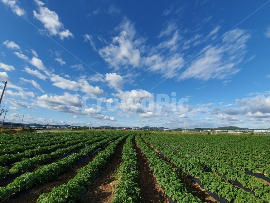 자연,옥외,하늘,sky,날씨,자연,풍경,nature,landscape