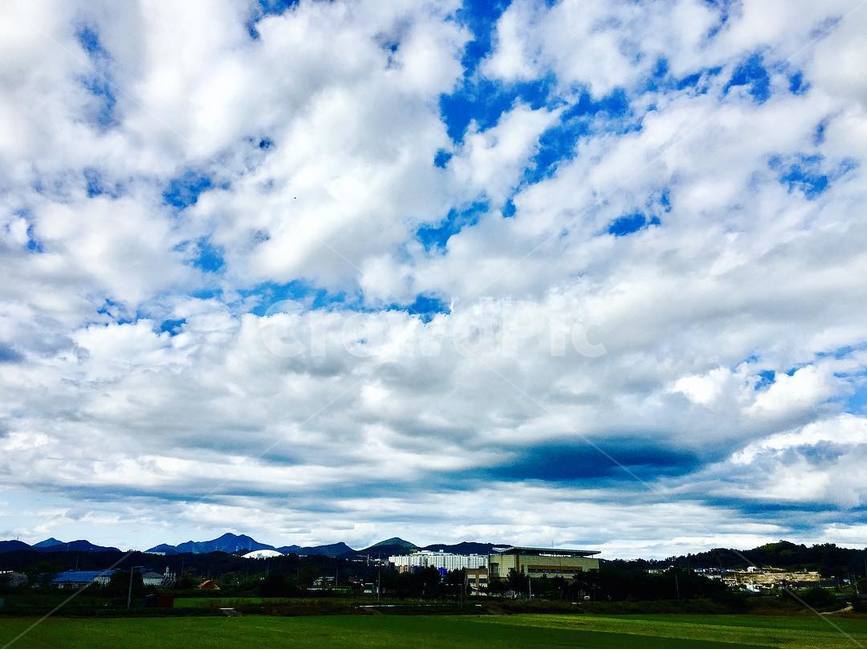 nature,자연,weather,날씨,outdoors,옥외,cloud,구름,sky,하늘,cumulus,적운,grass,잔디,plant,식물