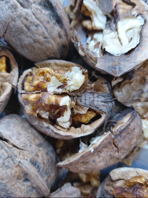 식물,plant,호두,열매,음식,콩류,견과류,beans,pulse,nuts,dry fruits