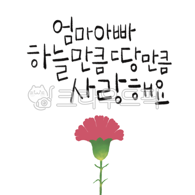 love,as much as the sky,family month,handwriting,carnation,Mothers Day,Amma dad,calligraphy