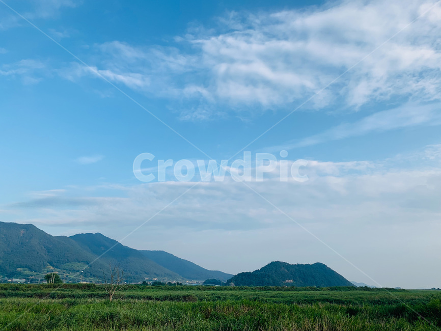 순천,suncheon,nature,자연,outdoors,옥외,hill,언덕,순천만습지,suncheonmanbay,구름,여름,summer,하늘,sky,여름하늘