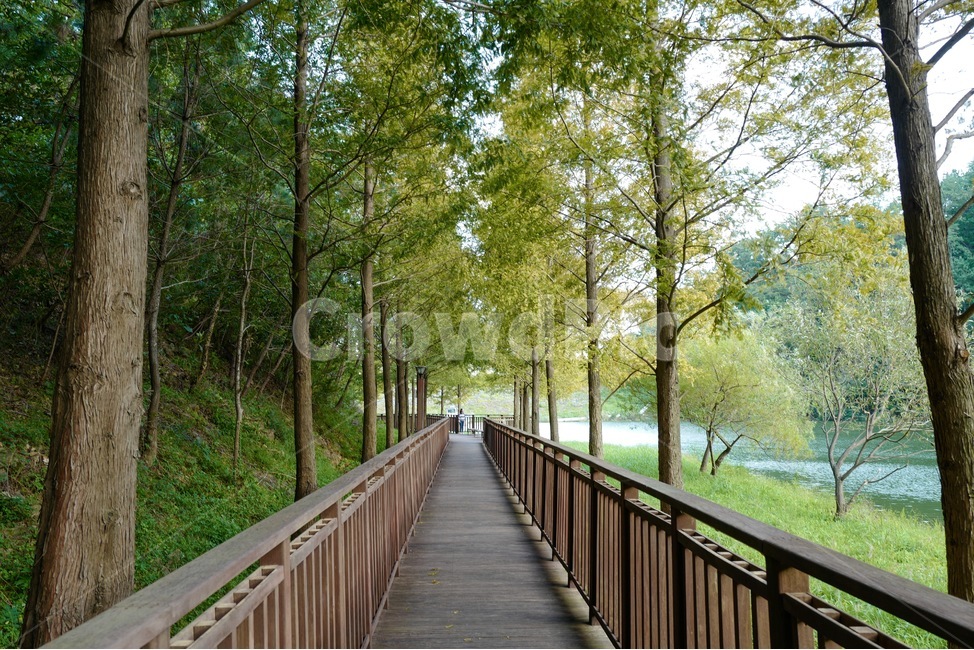 기장,공원,용소웰빙공원,산책로,다리,park,bridge,숲,자연,가을