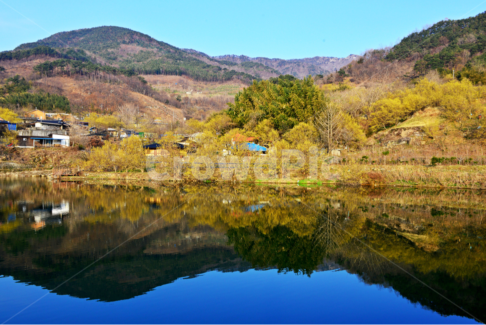 전남,구례,산동,산수유마을,산동산수유마을,산수유,산수유꽃,현천마을,저수지,반영,봄,계절,mountainrange,산맥,mountain,산,nature,자연,water,물,outdoors,옥외,자연,풍경,nature,landscape